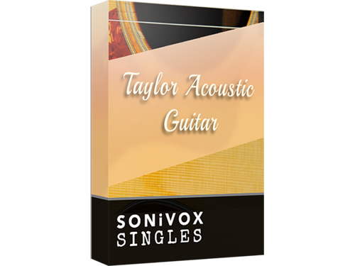 3.) Taylor Acoustic Guitar