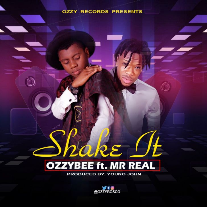 [Music] Ozzybee ft. Mr Real - Shake It